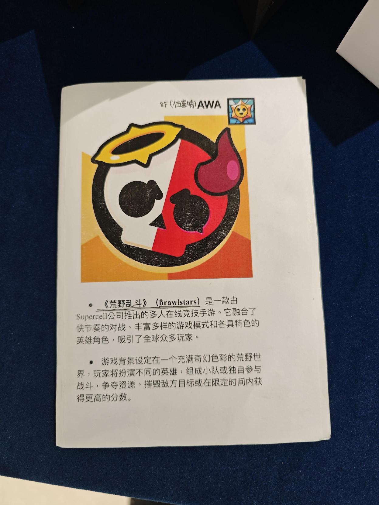 Image 22